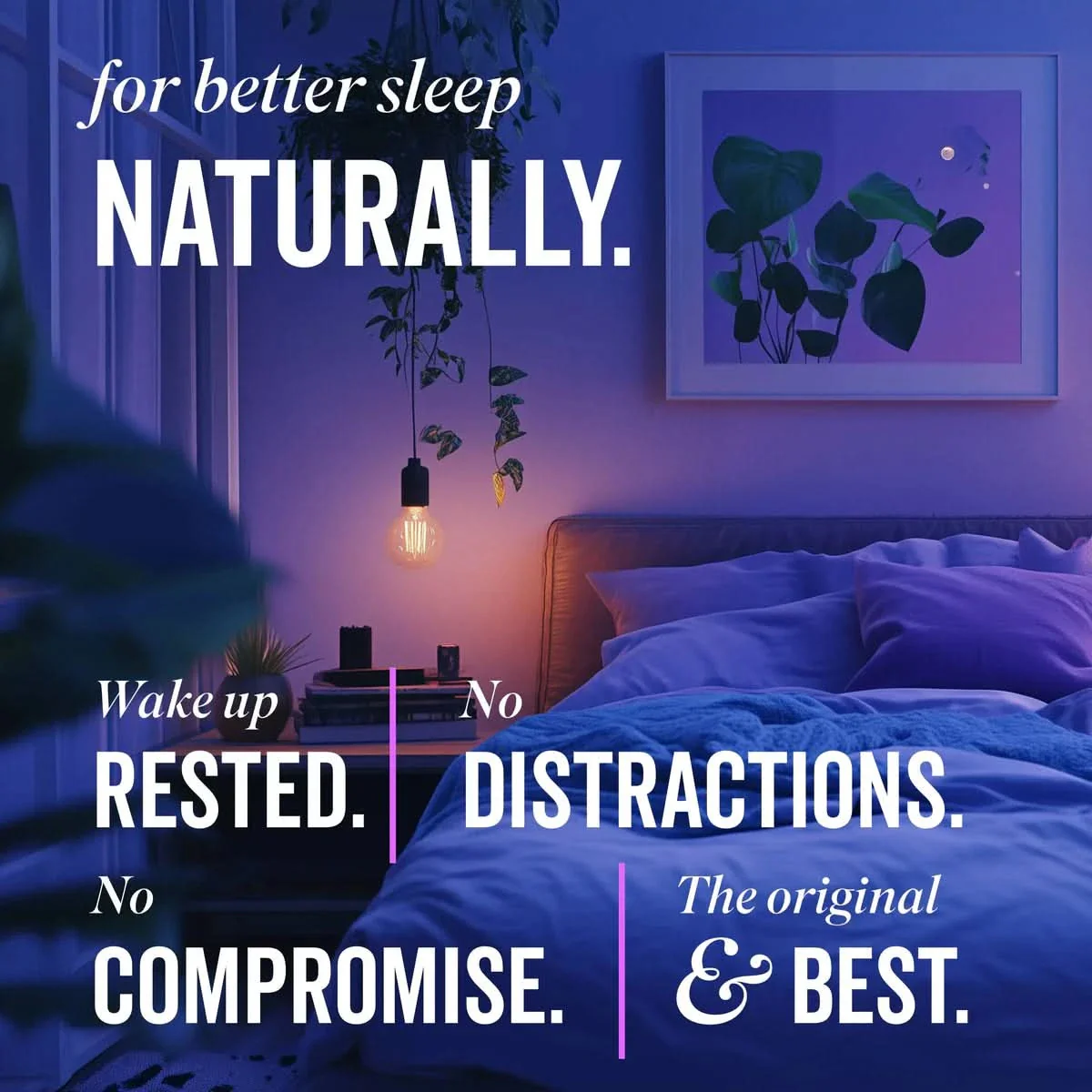 Grass & Co. DREAM Reishi Mushrooms with Magnesium + Sage 60 Vegan Capsules - Image 8