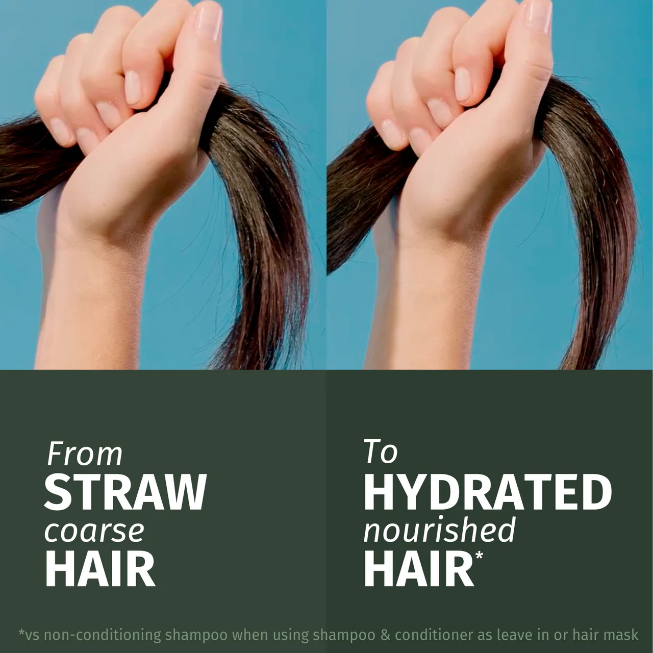 Herbal Essences Coconut Scent Hydrate Shampoo 350ml - Image 3