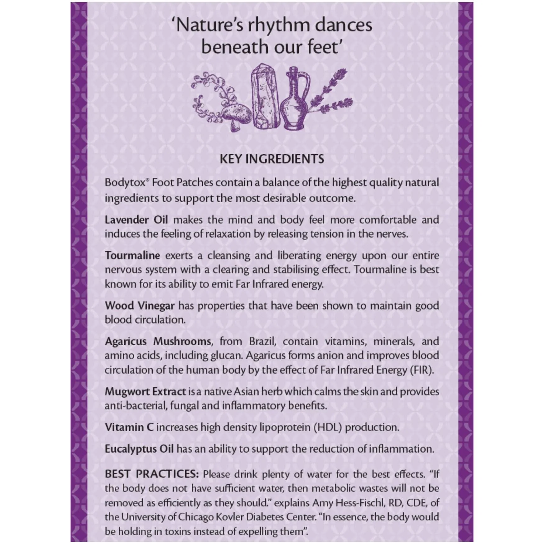 Lavender Sleep Foot Patches Box of 10 - Image 3