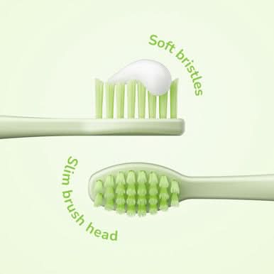 Ordo Sonic Kids Battery Toothbrush - Squishmallows Rutabaga - Image 5