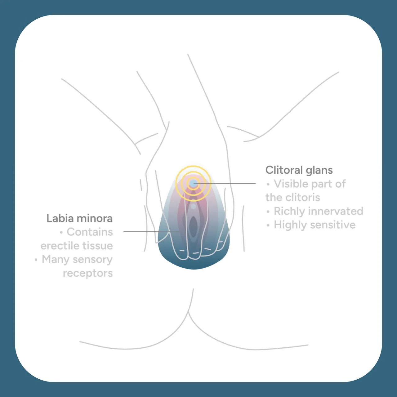 Smile Makers The Ballerina Vulva & Clitoral Vibrator - Image 4